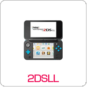 2DS/2DSLLジャンク例